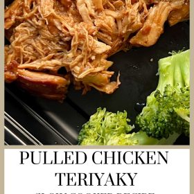 Pulled Chicken Teriyaki